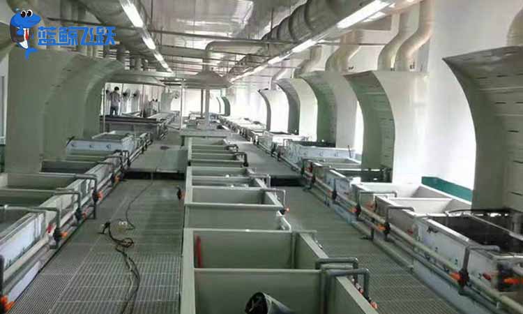 黄瓜视频看片价格是多少？可以在哪些行业使用？