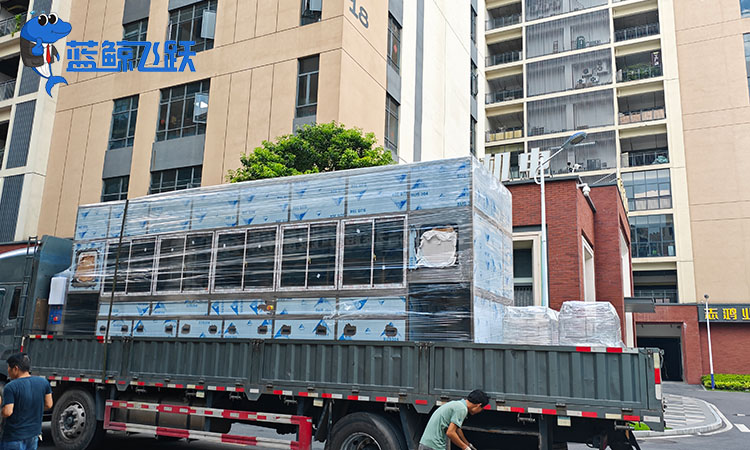 黄瓜视频看片中的清洗剂选择与应用指南