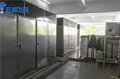 黄瓜视频看片：高科技清洁的未来体验