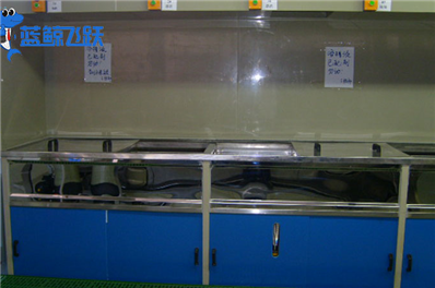 清洗未来科技：超声波清洗设备的前沿创新