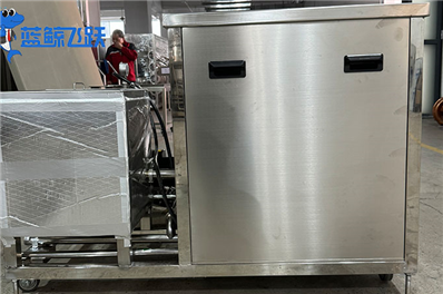 黄瓜视频看片清洗生蚝：效率与安全的完美结合